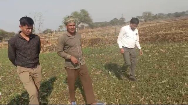 1765879492_986d255e1df99c958583