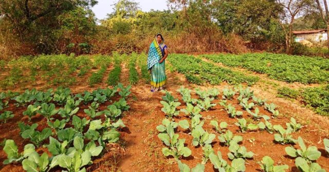 1765887972_c7222ca054f18ca3a767