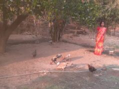 संघर्ष से सफलता तक का सफर , पांचो जयते बनी सफल महिला उद्यमी