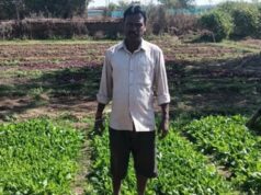 डबरी बनी स्थायी आजीविका का आधार