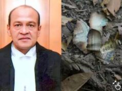 जस्टिस यशवंत वर्मा की फाइल क्लोज, सुप्रीम कोर्ट के जज ने क्यों कहा – अब जांच आगे बढ़ाने की जरूरत नहीं