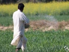 किसानों के खुशखबरी! जरूरत से ज्यादा है उर्वरक का भंडार, सिर्फ 266 रुपये में मिलेगी 4000 वाली यूरिया की बोरी