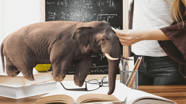 25-7-2025-6-removebg-preview